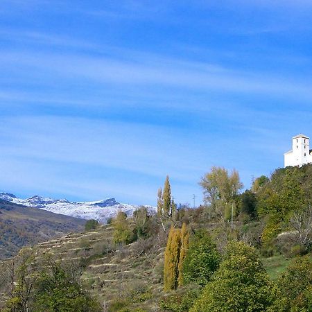 ブビオンCasita Buena Vistaアパートメント エクステリア 写真